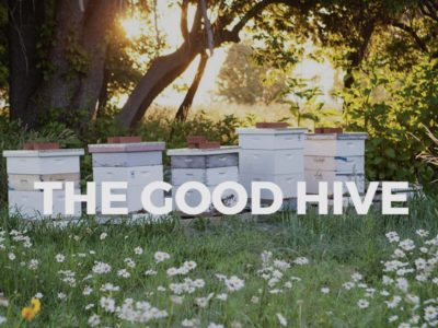 The Good Hive