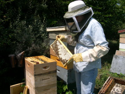 Laney Honey Company